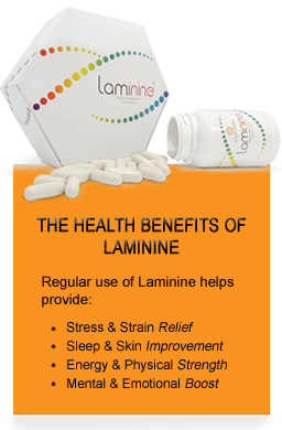 Order Laminine