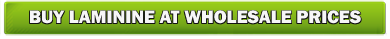 buy laminine wholesale