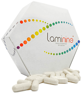 purchase laminine