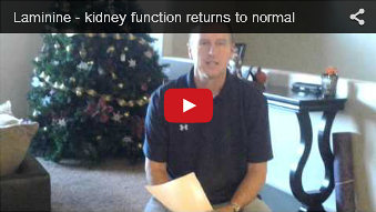 Laminine and kidney disease